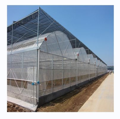 Matériau de revêtement de film Agriculture Serre à longue portée avec tube en acier galvanisé