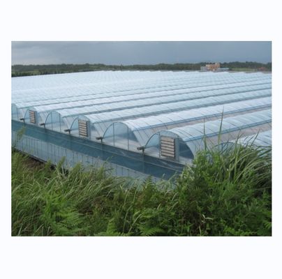 Serre hydroponique industrielle avec une résistance super forte Serre multi-étendue