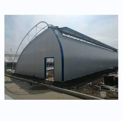 Serre solaire de 50 à 120 m de long avec une structure en acier galvanisé à double arc