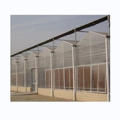 Serres agricoles à feuille de 8 mm à longue portée pour une agriculture durable
