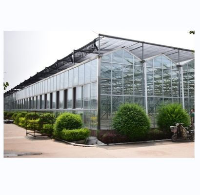 Systèmes de culture hydroponique à couverture de verre NFT La solution ultime pour l'agriculture verticale
