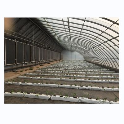 Petite serre solaire passive économe en énergie avec structure en acier galvanisé à chaud