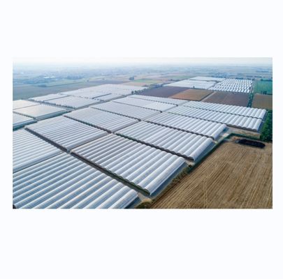 Serres agricoles de taille personnalisable à plusieurs longueurs avec tube d'acier galvanisé à chaud