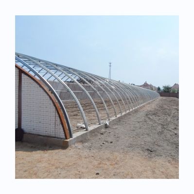 Serre solaire passive Serre chaude pour l'agriculture commerciale