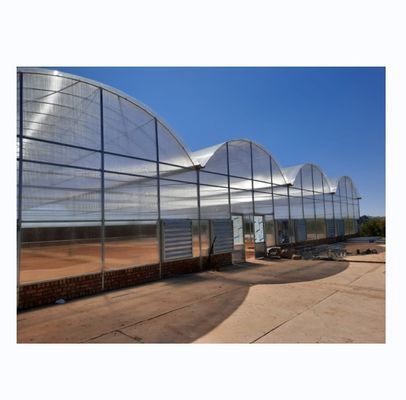 Serre à plusieurs étendues commerciale agricole intelligente Venlo PC hauteur 4,0 à 8,0 m