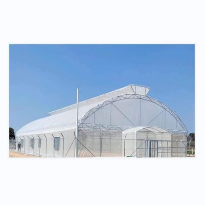 Tracé Shine Tech Tunnel à bande unique Serres agricoles