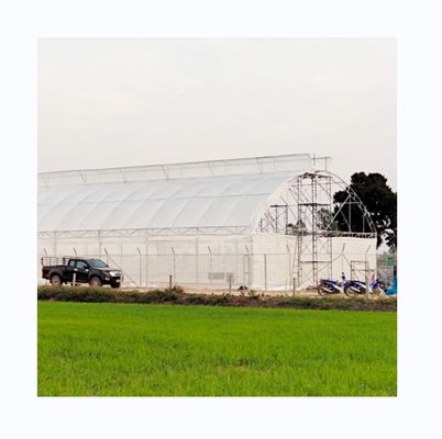 Serre à tunnel unique à 200 microns pour la culture de tomates et de concombres