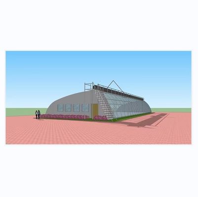 Serre PE de 8 à 16 m de largeur pour l'isolation hivernale Plantation de fraises et de couvertures