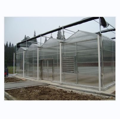 8m 9,6m 12m Largeur d'étendue Serre agricole pour semences et légumes de tomates hybrides