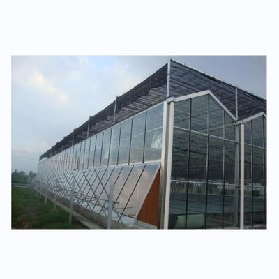 Structure de cadre en acier galvanisé à chaud Serres en verre Venlo pour l'agriculture végétale