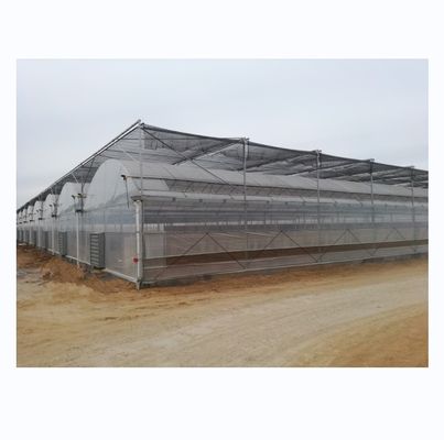 4.0-8.0M Hauteur Agriculture Projet clé en main de serre en film plastique à longue portée pour tomates