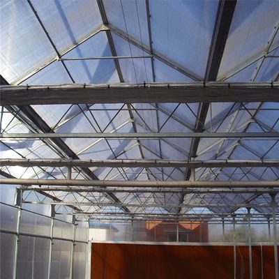 8m 9,6m 12m Largeur d'étendue Serre agricole pour semences et légumes de tomates hybrides
