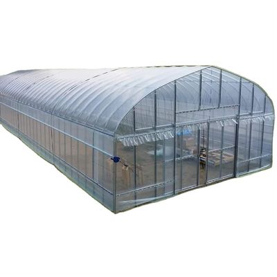 2.5-5M Hauteur Tomate Hydroponique Tunnel élevé Serre agricole avec film de couverture