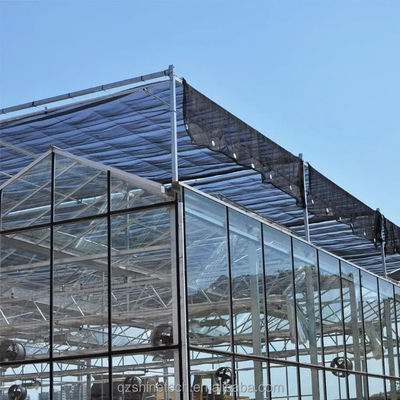 Structure de cadre en acier galvanisé à chaud Serres en verre Venlo pour l'agriculture végétale