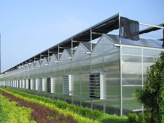 8m 9,6m 12m Largeur d'étendue Serre agricole pour semences et légumes de tomates hybrides