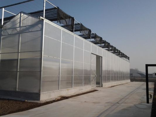 8m 9,6m 12m Largeur d'étendue Serre agricole pour semences et légumes de tomates hybrides