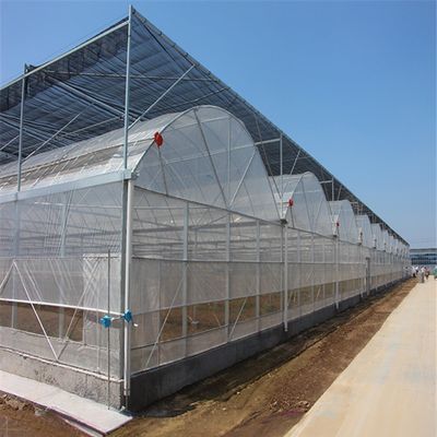 4.0-8.0M Hauteur Agriculture Projet clé en main de serre en film plastique à longue portée pour tomates