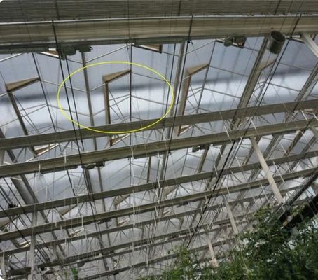 Structure de cadre en acier galvanisé à chaud Serres en verre Venlo pour l'agriculture végétale