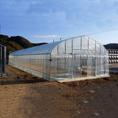 2.5-5M Hauteur Tomate Hydroponique Tunnel élevé Serre agricole avec film de couverture