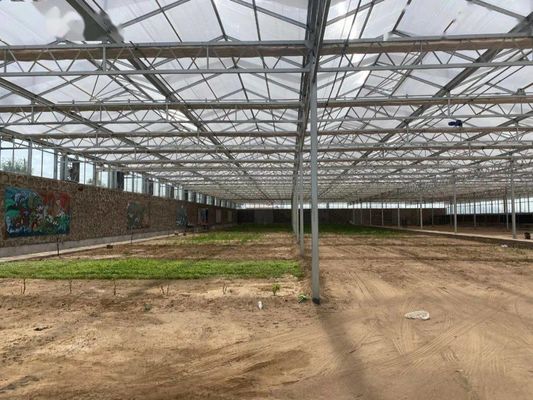 8m 9,6m 12m Largeur d'étendue Serre agricole pour semences et légumes de tomates hybrides