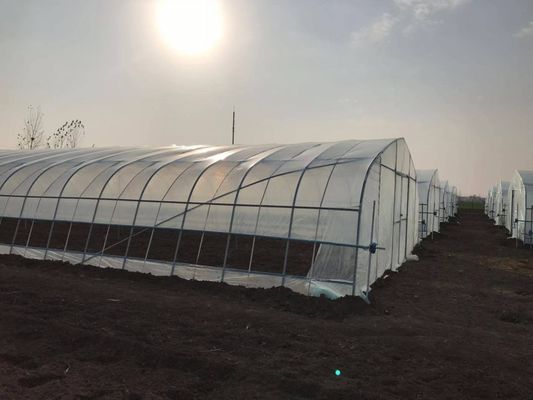 2.5-5M Hauteur Tomate Hydroponique Tunnel élevé Serre agricole avec film de couverture