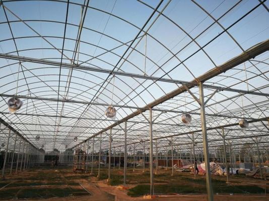 4.0-8.0M Hauteur Agriculture Projet clé en main de serre en film plastique à longue portée pour tomates