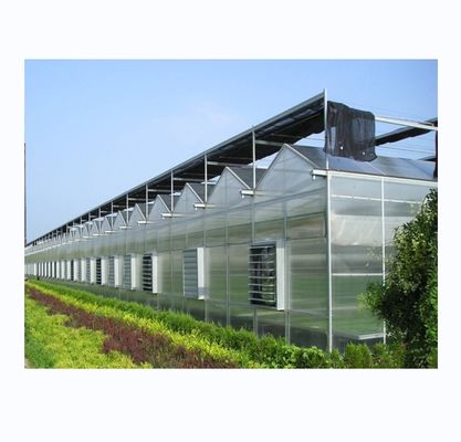 Résistant et de grande serre Agriculture Polycarbonate avec cadre en acier galvanisé