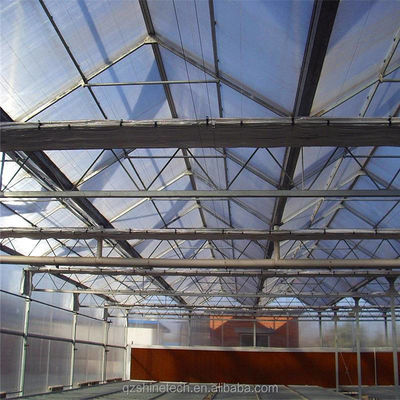 Résistant et de grande serre Agriculture Polycarbonate avec cadre en acier galvanisé