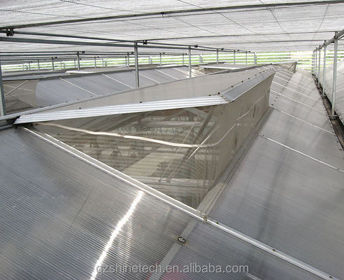Résistant et de grande serre Agriculture Polycarbonate avec cadre en acier galvanisé