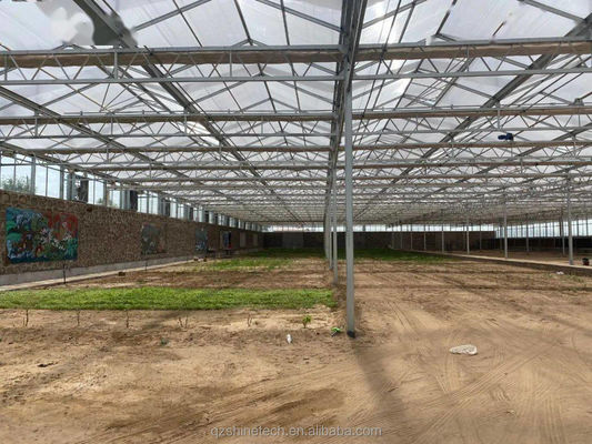 Résistant et de grande serre Agriculture Polycarbonate avec cadre en acier galvanisé