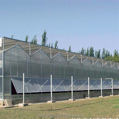 Résistant et de grande serre Agriculture Polycarbonate avec cadre en acier galvanisé