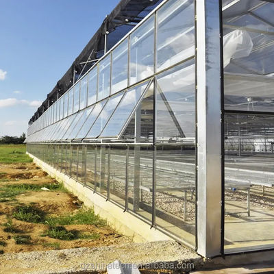 Projet clé en main de serre en verre de grande taille Venlo, solution idéale pour la culture des légumes