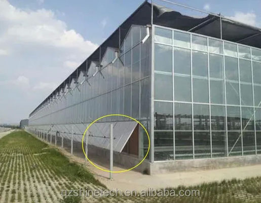 Projet clé en main de serre en verre de grande taille Venlo, solution idéale pour la culture des légumes