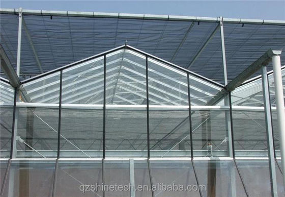 Projet clé en main de serre en verre de grande taille Venlo, solution idéale pour la culture des légumes