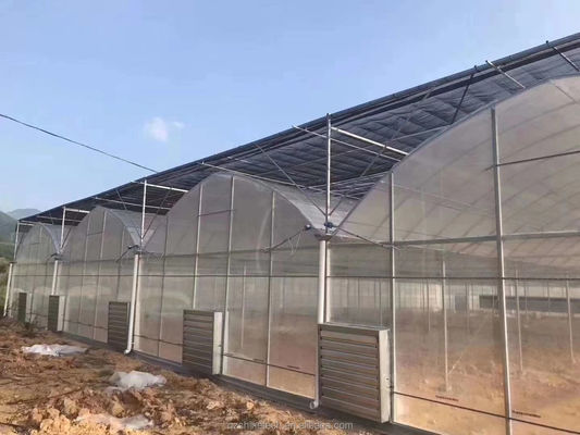 Matériau de revêtement de film Agriculture Serre à longue portée avec tube en acier galvanisé