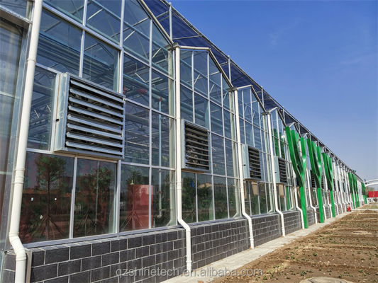 Projet clé en main de serre en verre de grande taille Venlo, solution idéale pour la culture des légumes
