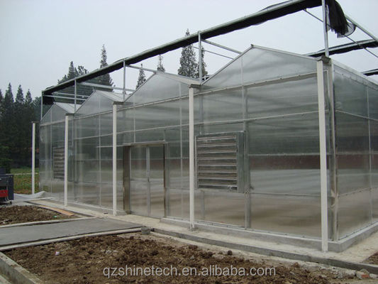Serre agricole commerciale avec système hydroponique et revêtement en feuille de 8 mm