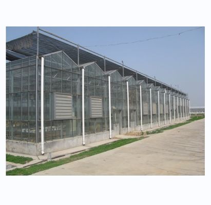 Grande serre agricole avec cadre en acier galvanisé et système de refroidissement facultatif