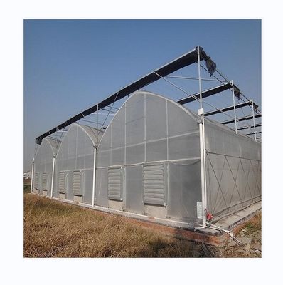 Facile à assembler Kit agricole de tomates Serre avec une résistance super forte