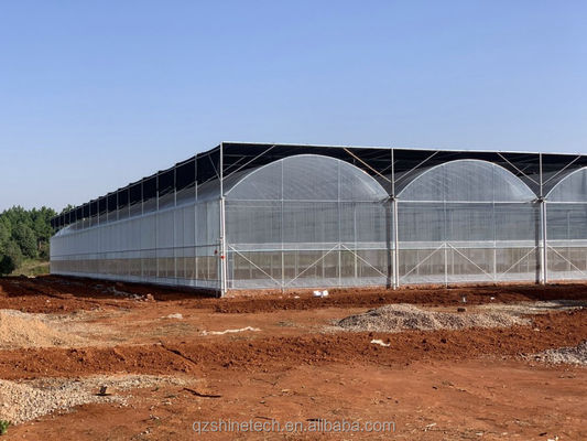 Facile à assembler Kit agricole de tomates Serre avec une résistance super forte
