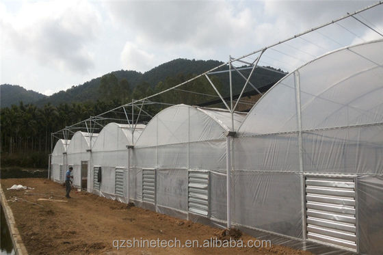 Facile à assembler Kit agricole de tomates Serre avec une résistance super forte