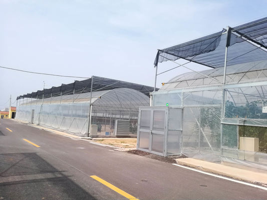 Facile à assembler Kit agricole de tomates Serre avec une résistance super forte