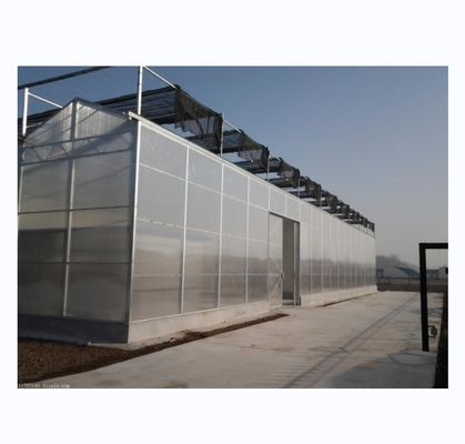 Résistance élevée Multi-Span Venlo PC Serre en feuille de polycarbonate