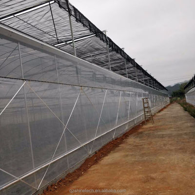 Facile à assembler Kit agricole de tomates Serre avec une résistance super forte