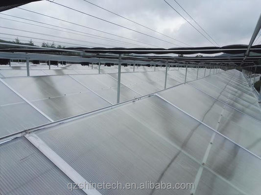 Résistance élevée Multi-Span Venlo PC Serre en feuille de polycarbonate