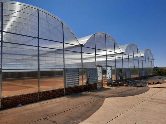 Résistance élevée Multi-Span Venlo PC Serre en feuille de polycarbonate