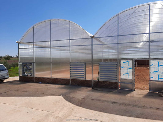 Résistance élevée Multi-Span Venlo PC Serre en feuille de polycarbonate