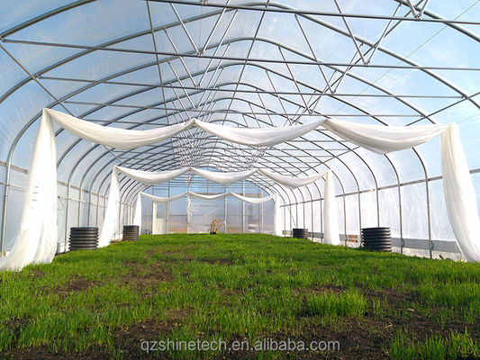 Petite serre à film en tunnel pour la culture de tomates largeur de 6 m à 10 m
