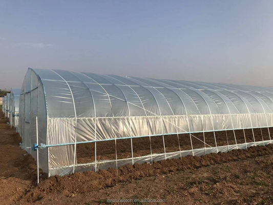 Petite serre à film en tunnel pour la culture de tomates largeur de 6 m à 10 m