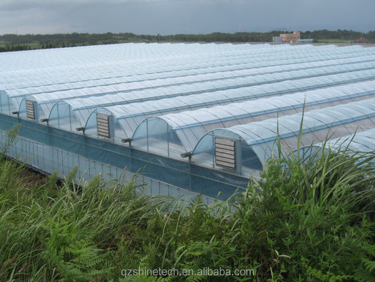 Serre hydroponique industrielle avec une résistance super forte Serre multi-étendue